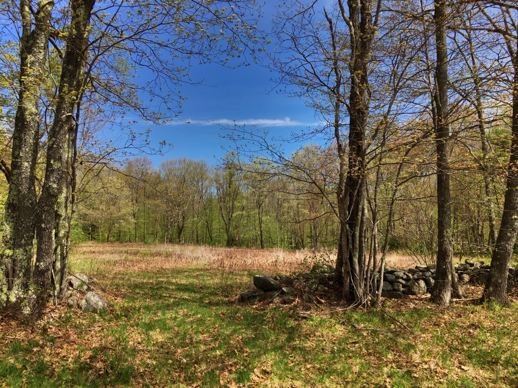 93 Glasheen Road Petersham, MA 01366 - Photo 6 of 23 Gallery Image 6