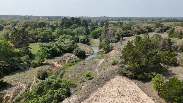 an aerial view of forest