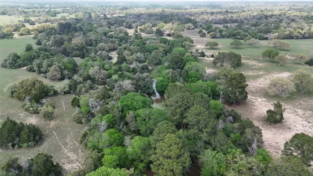 a view of a lake with large trees