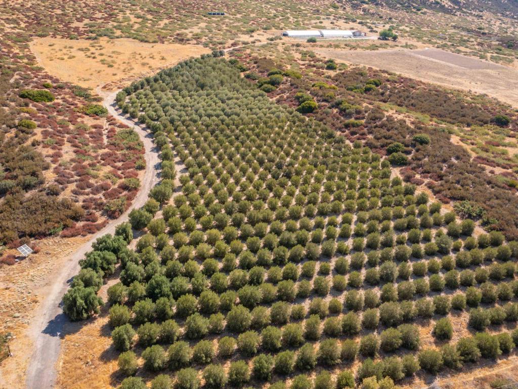 129 55 / Acr San Felipe Road Warner Springs, CA 92086 - Photo 1 of 23 a view of a pathway