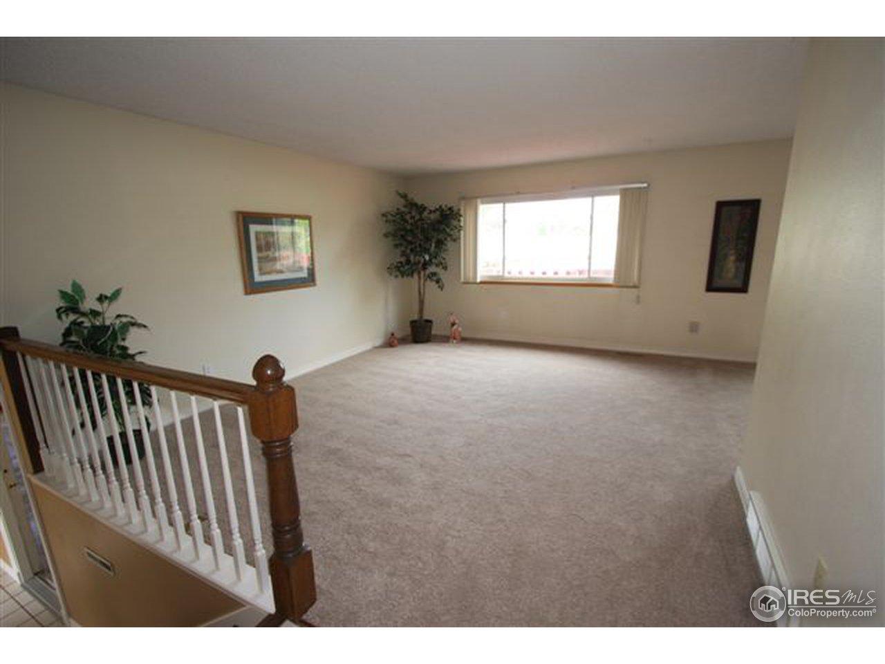 1000 Timber Lane Fort Collins, CO 80521 - Photo 3 of 12 Gallery Image 3