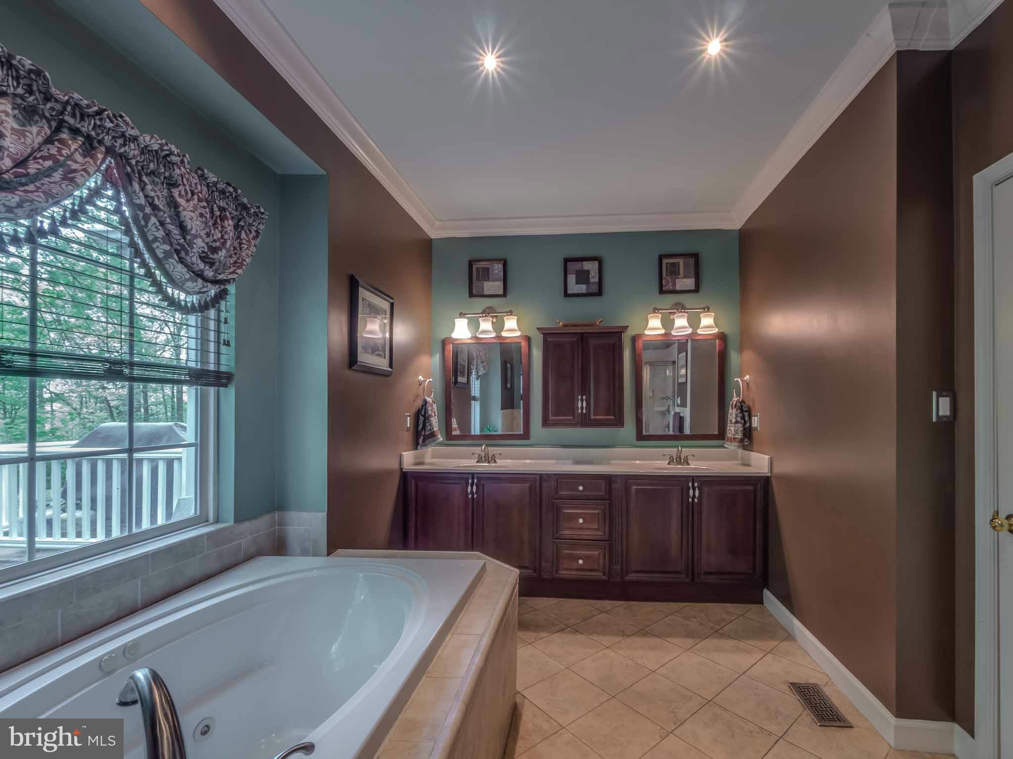 159 Morgans Ridge Road La Plata, MD 20646 - Photo 7 of 27 Bath (Master)