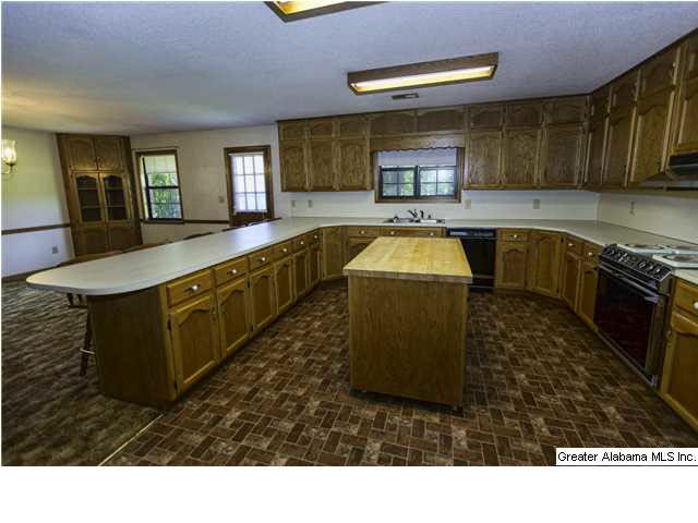 3706 Mt Olive Road Mount Olive, AL 35117 - Photo 11 of 20