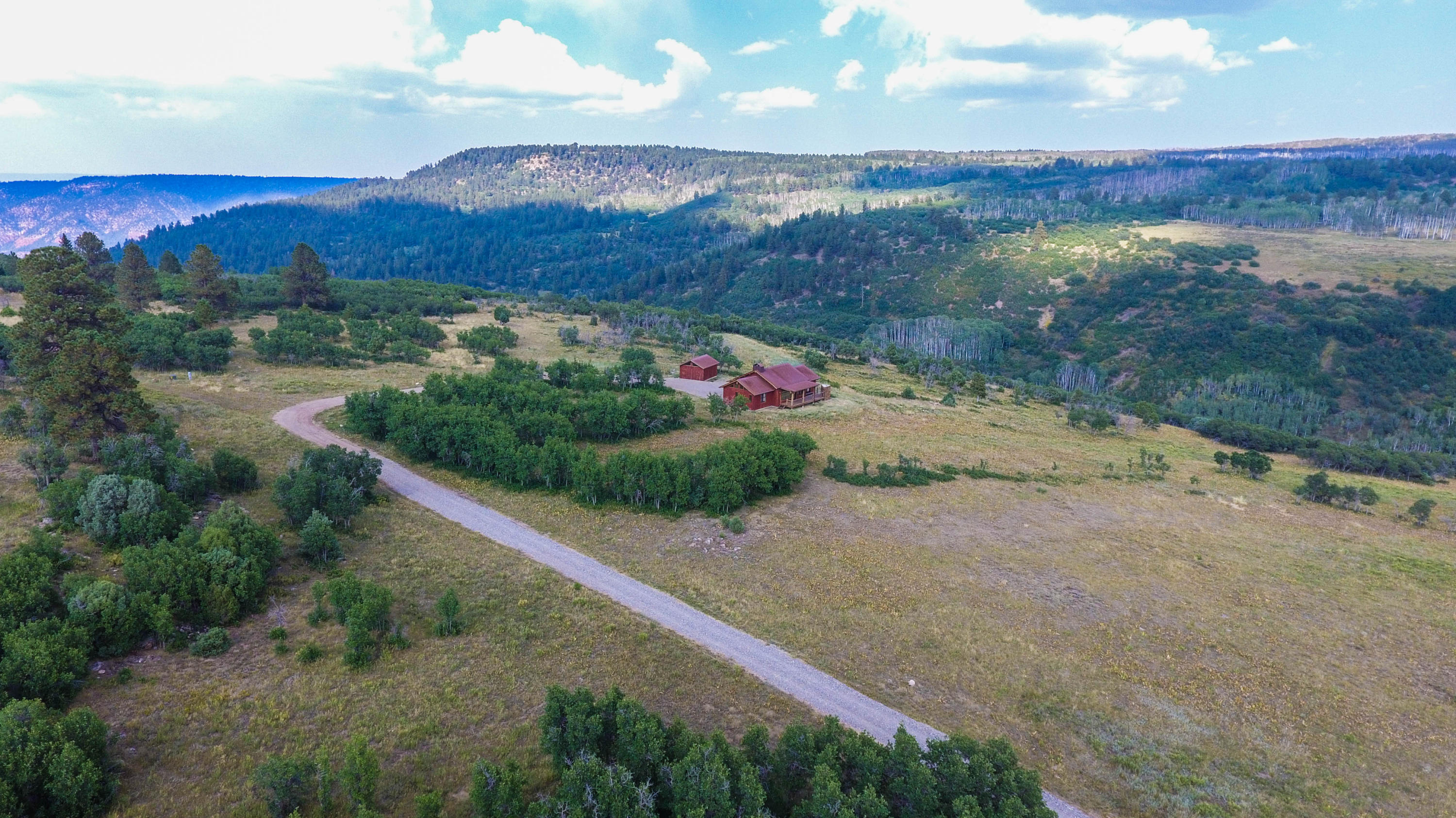 390 Peninsula Drive Placerville, CO 81430 - Photo 32 of 37 an aerial view of a house with a garden