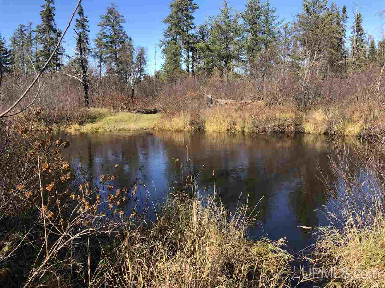 Tbd Woods Road Ishpeming, MI 49849 - Photo 2 of 26