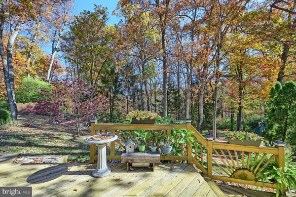 a view of a patio with table and chairs potted plants and large tree