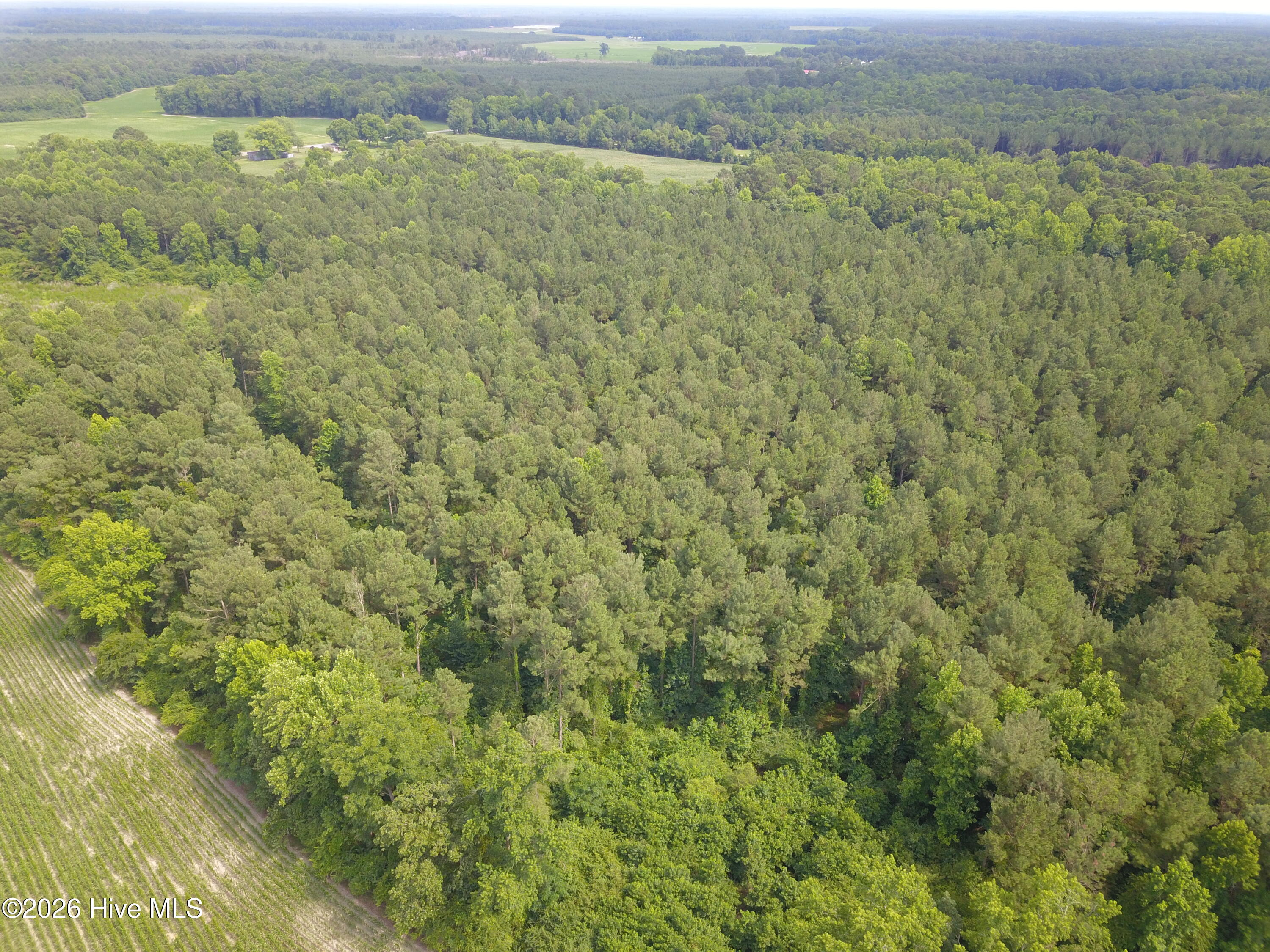 0 Ludie Brown Road Chinquapin, NC 28521 - Photo 3 of 9