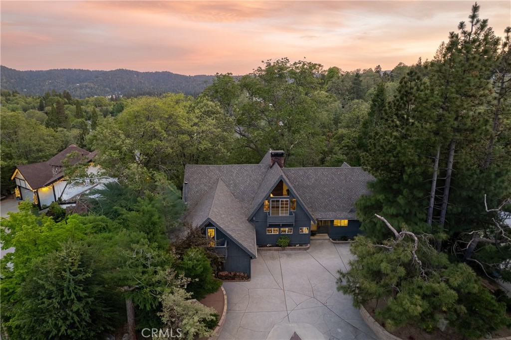 28001 North Bay Road Lake Arrowhead, CA 92352 - Photo 3 of 46