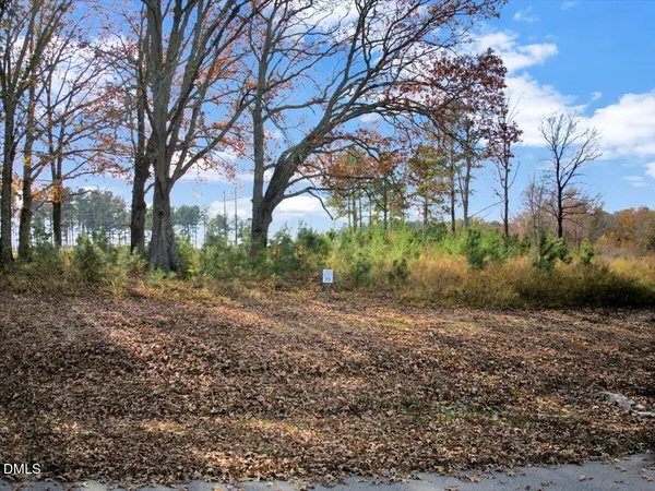 a view of a back yard
