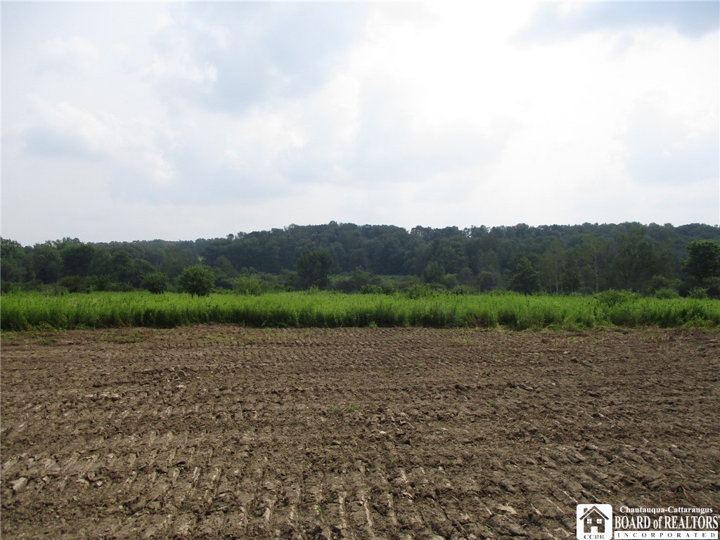 0 Fulmer Valley Road Andover, NY 14806 - Photo 1 of 1 Gallery Image 1