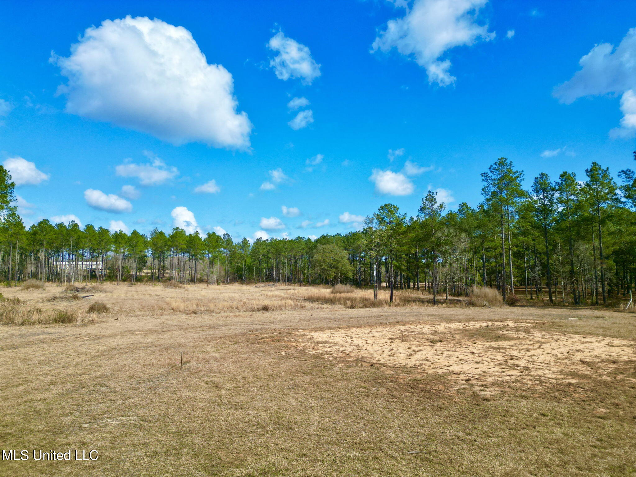 35 Thompson Lane Carriere, MS 39426 - Photo 2 of 39 2-web-or-mls-DJI_0048 2