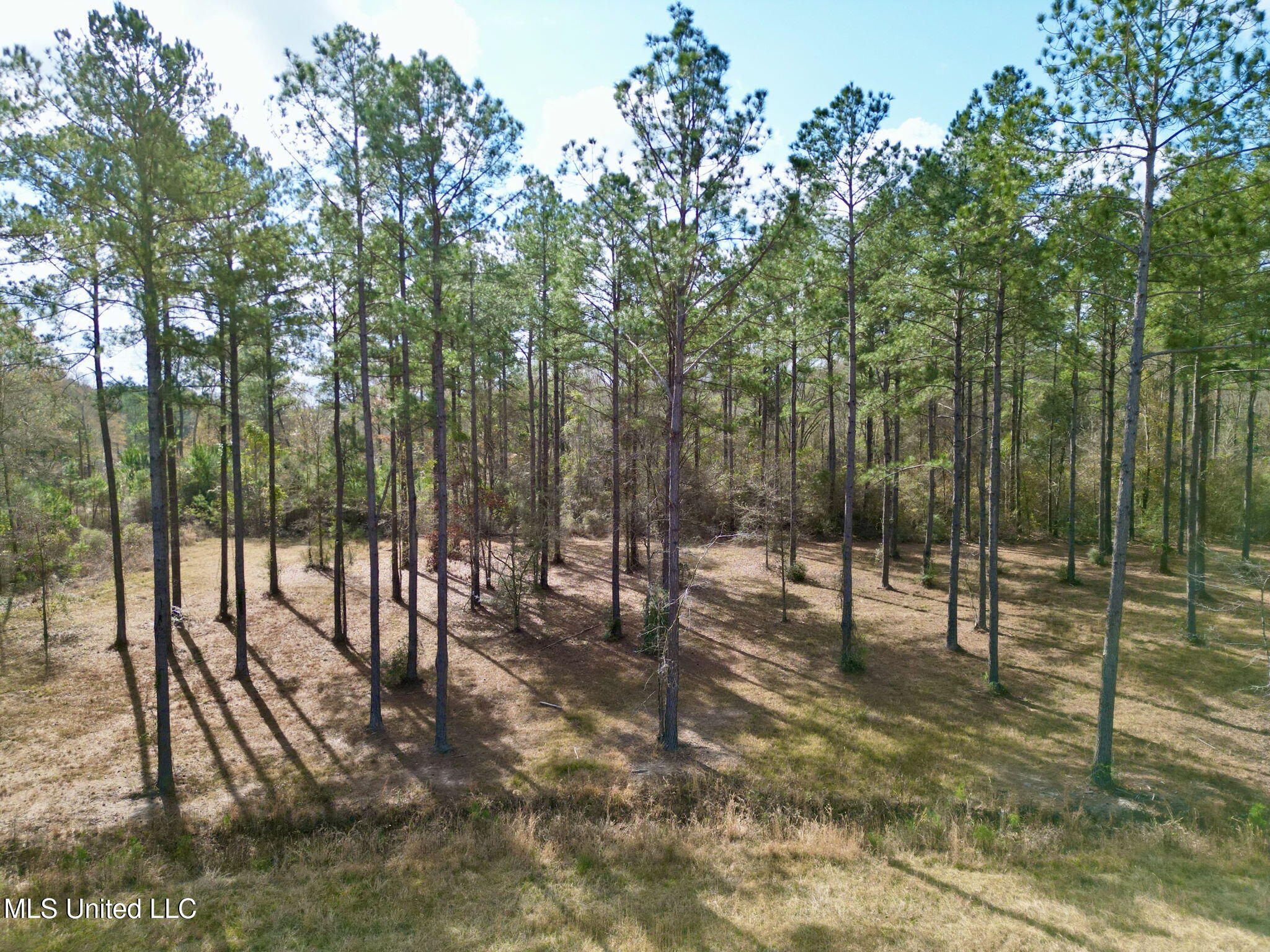35 Thompson Lane Carriere, MS 39426 - Photo 22 of 39 21-web-or-mls-DJI_0068