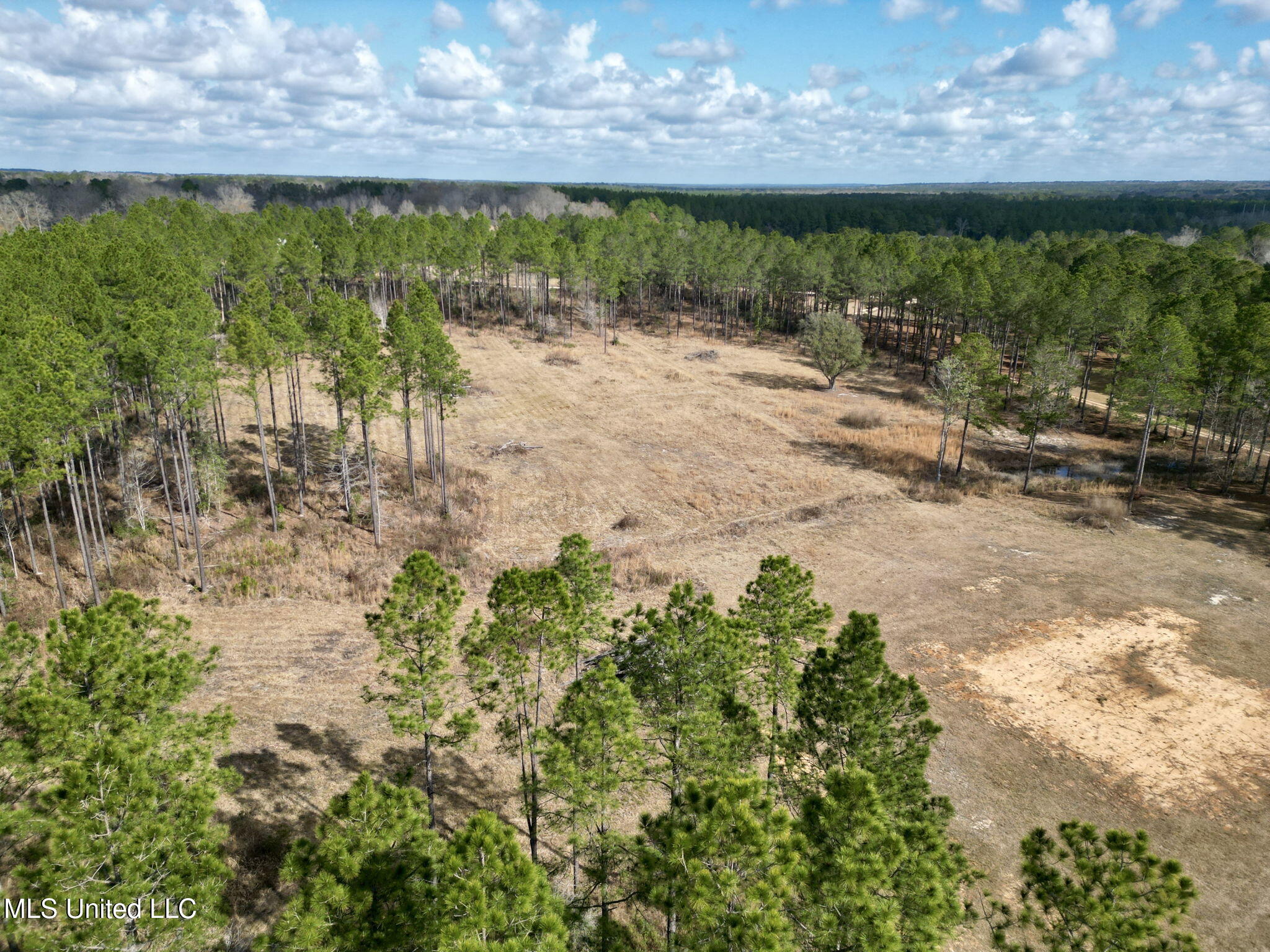 35 Thompson Lane Carriere, MS 39426 - Photo 23 of 39 22-web-or-mls-DJI_0063