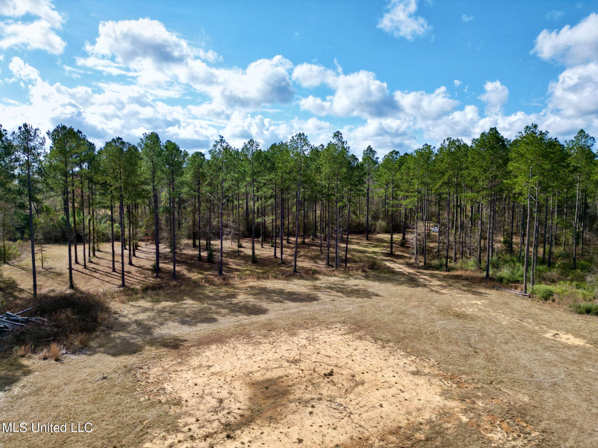 35 Thompson Lane Carriere, MS 39426 - Photo 6 of 39 5-web-or-mls-DJI_0067