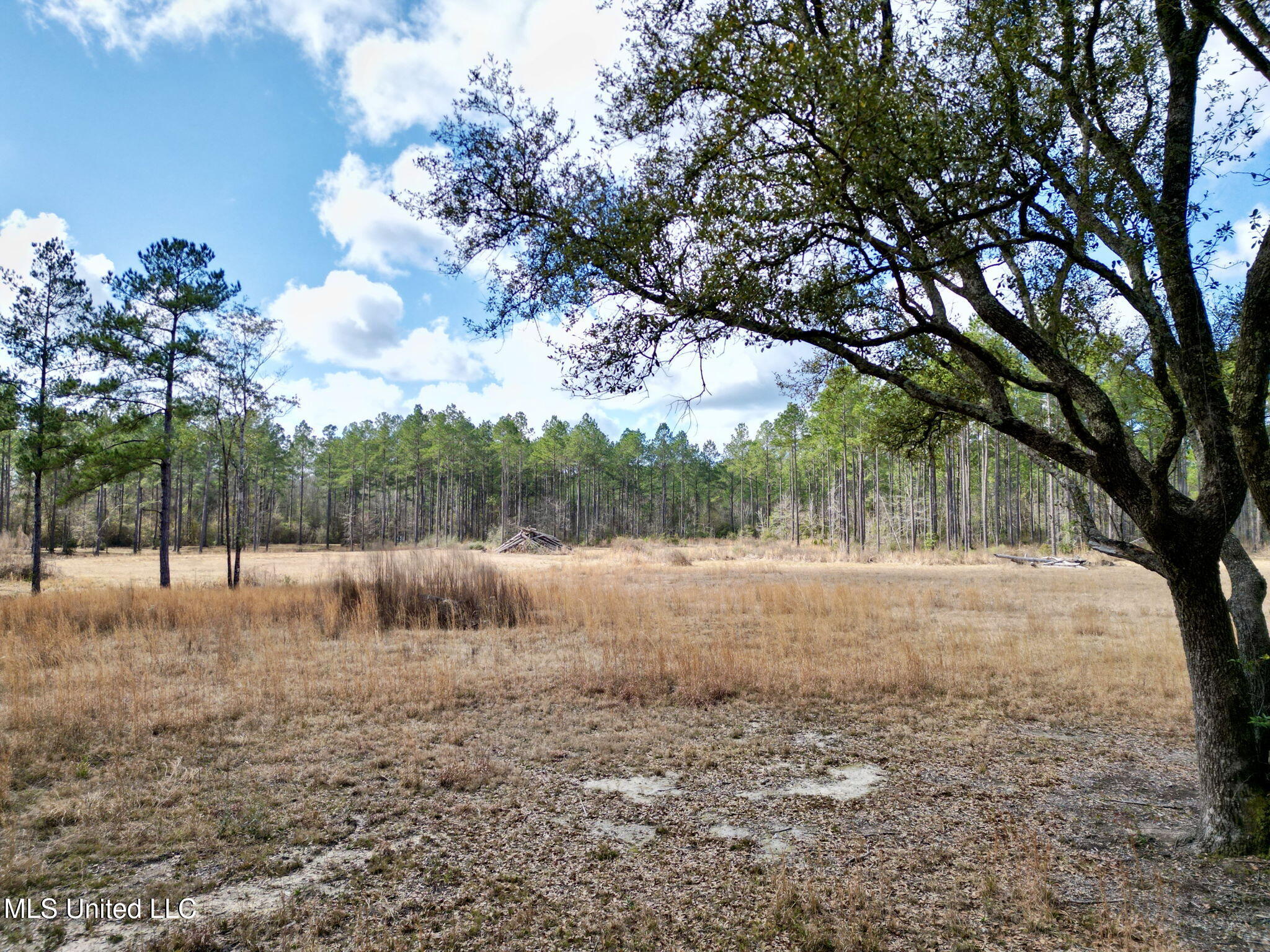 35 Thompson Lane Carriere, MS 39426 - Photo 10 of 39 9-web-or-mls-DJI_0078