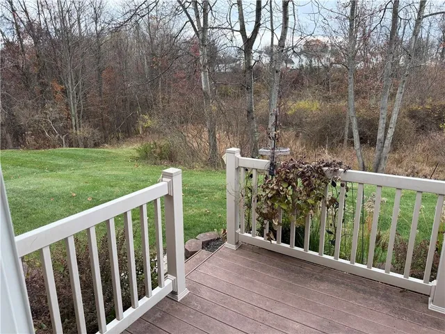 a view of a pathway of a garden