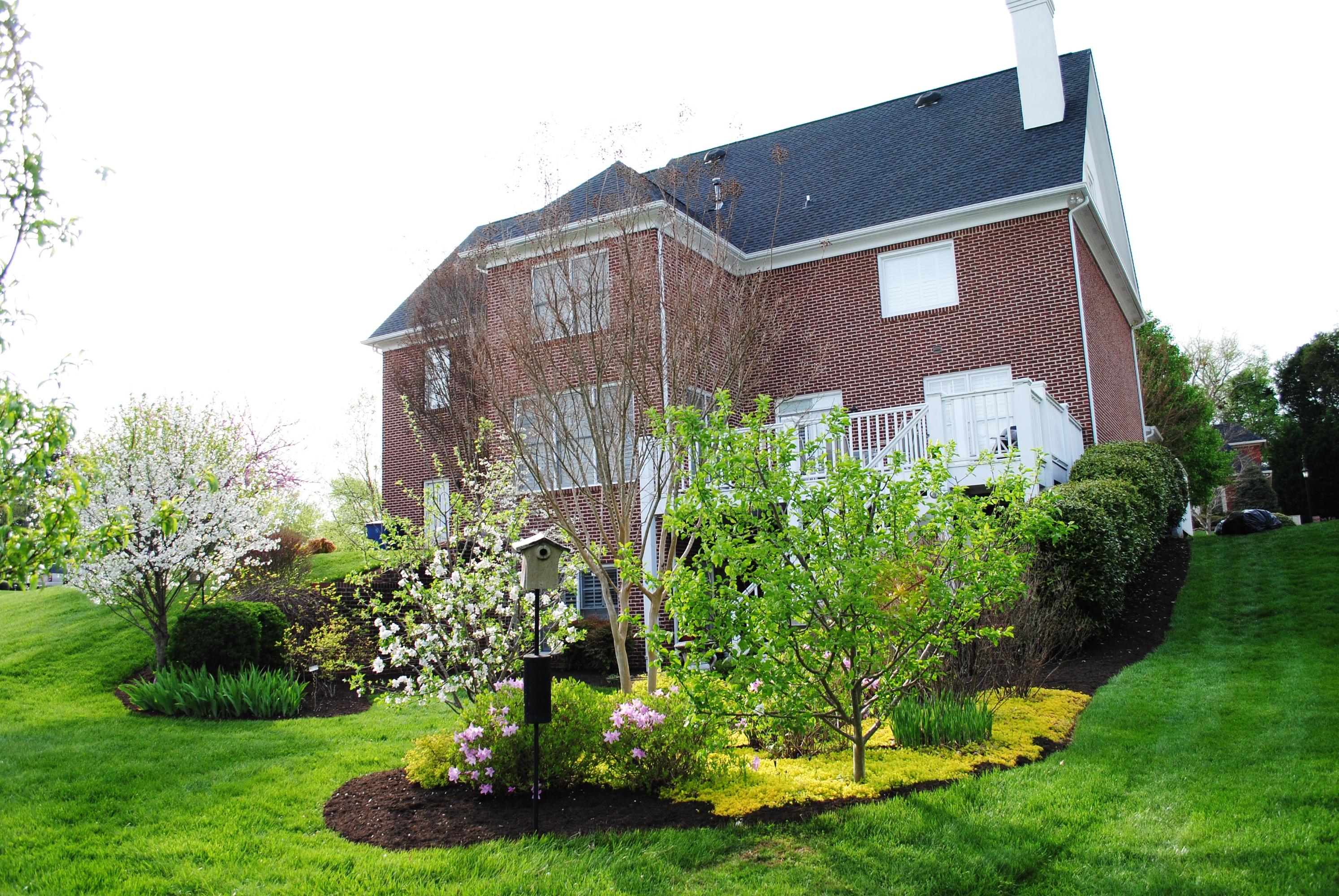1900 Chiswick Road Knoxville, TN 37922 - Photo 24 of 24 Rear of Home