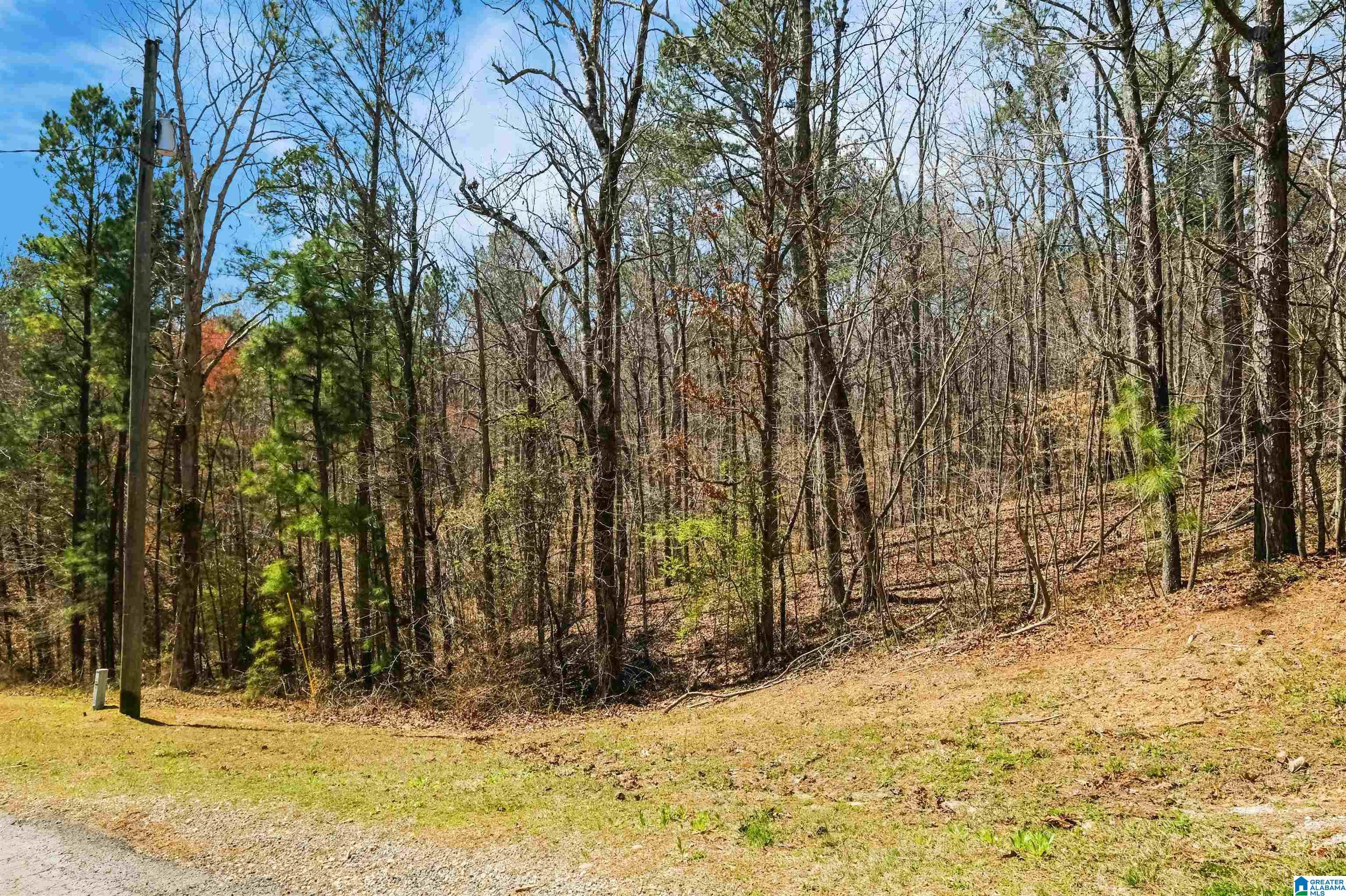 230 Hamilton Lane Riverside, AL 35135 - Photo 30 of 30 Gallery Image 30