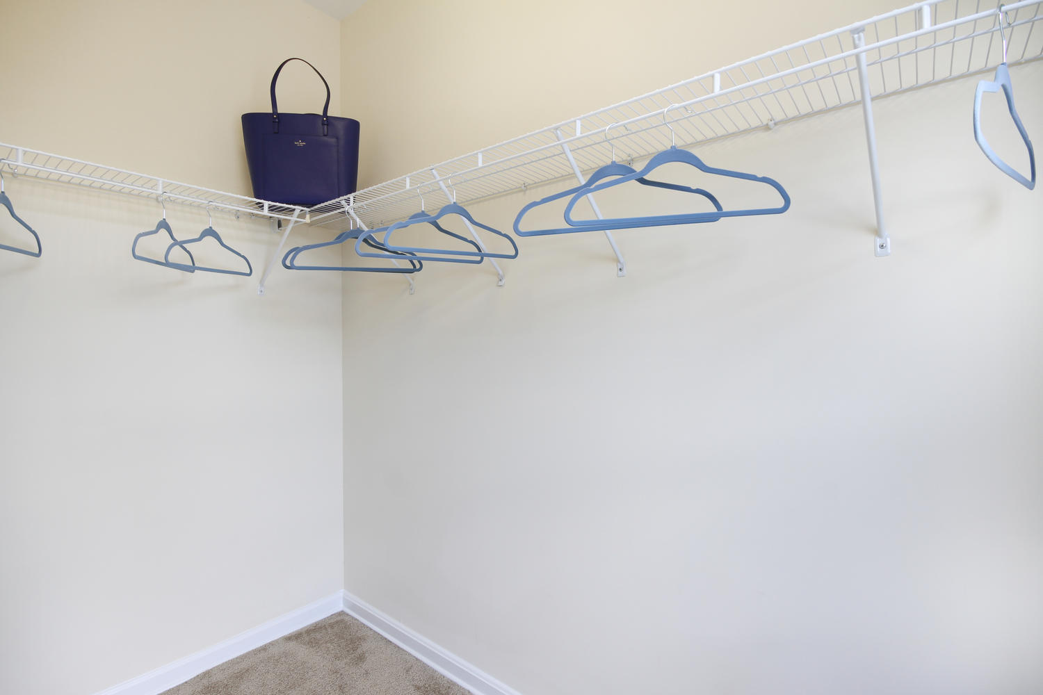 1030 Jack Primus Road, Unit 1304 Charleston, SC 29492 - Photo 12 of 20 Master Walk-In Closet