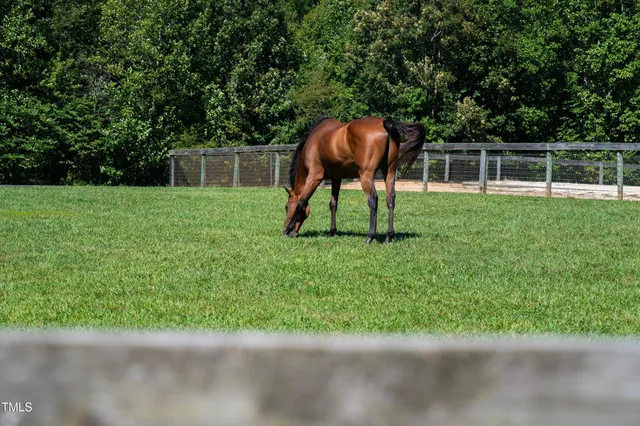 $2,650,000 | 1018 Terrell Woods Lane, Chapel Hill, NC 27516