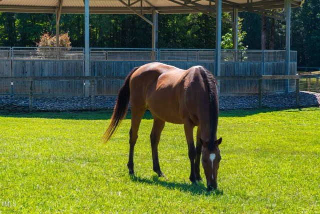 $2,650,000 | 1018 Terrell Woods Lane, Chapel Hill, NC 27516