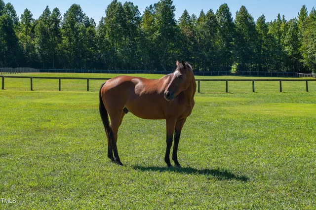 $2,650,000 | 1018 Terrell Woods Lane, Chapel Hill, NC 27516