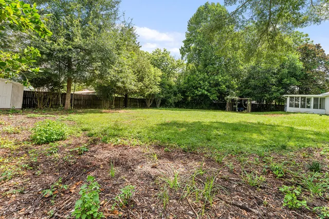 a view of a park with a large tree