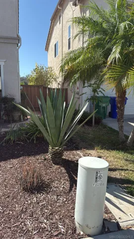 a view of a backyard with plants