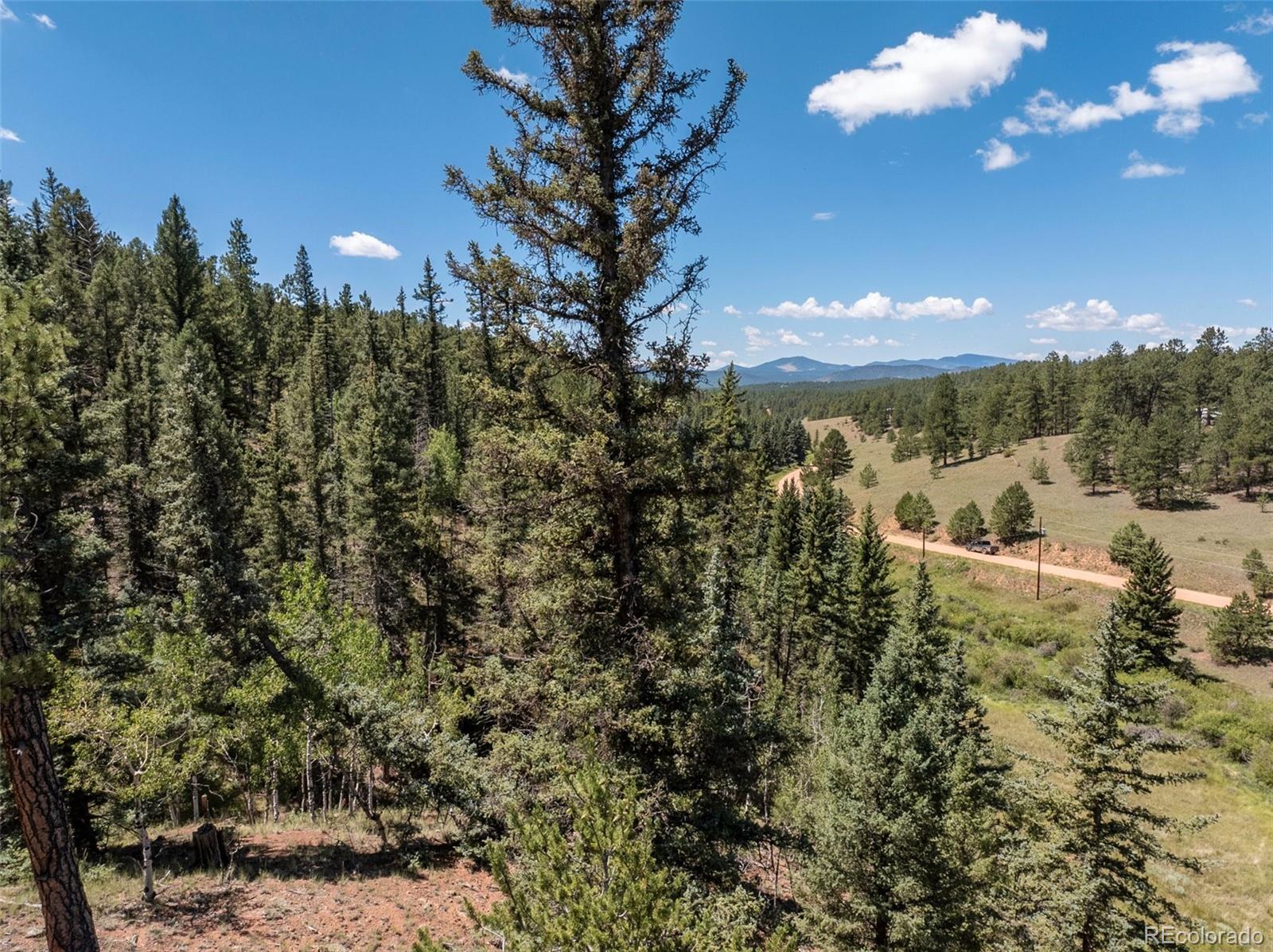 1676 Pathfinder Road Florissant, CO 80816 - Photo 23 of 32 Gallery Image 23