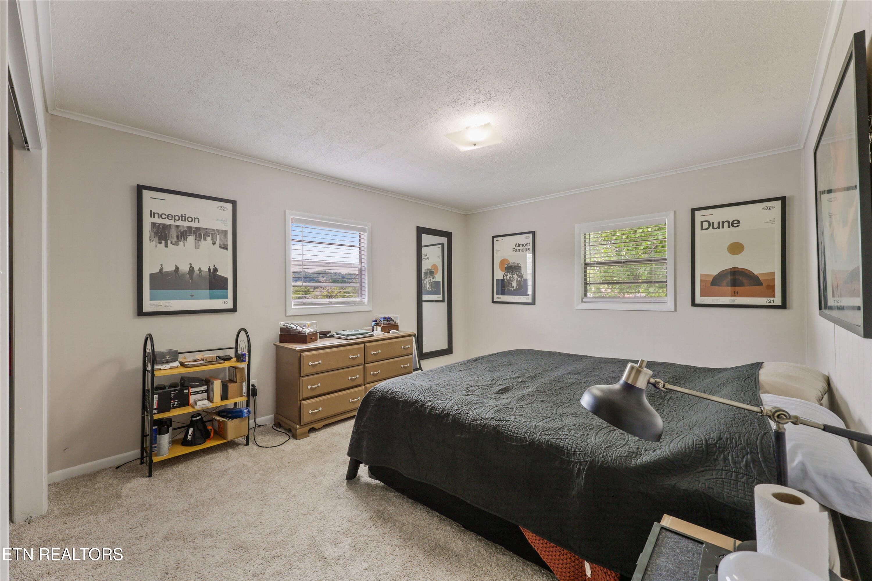 5524 Carter Road Knoxville, TN 37918 - Photo 55 of 57 ADU Bedroom 2