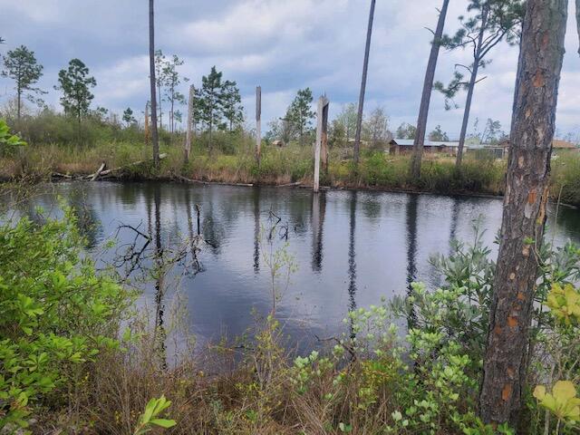 8650 Fremont Road Youngstown, FL 32466 - Photo 1 of 8 Pond