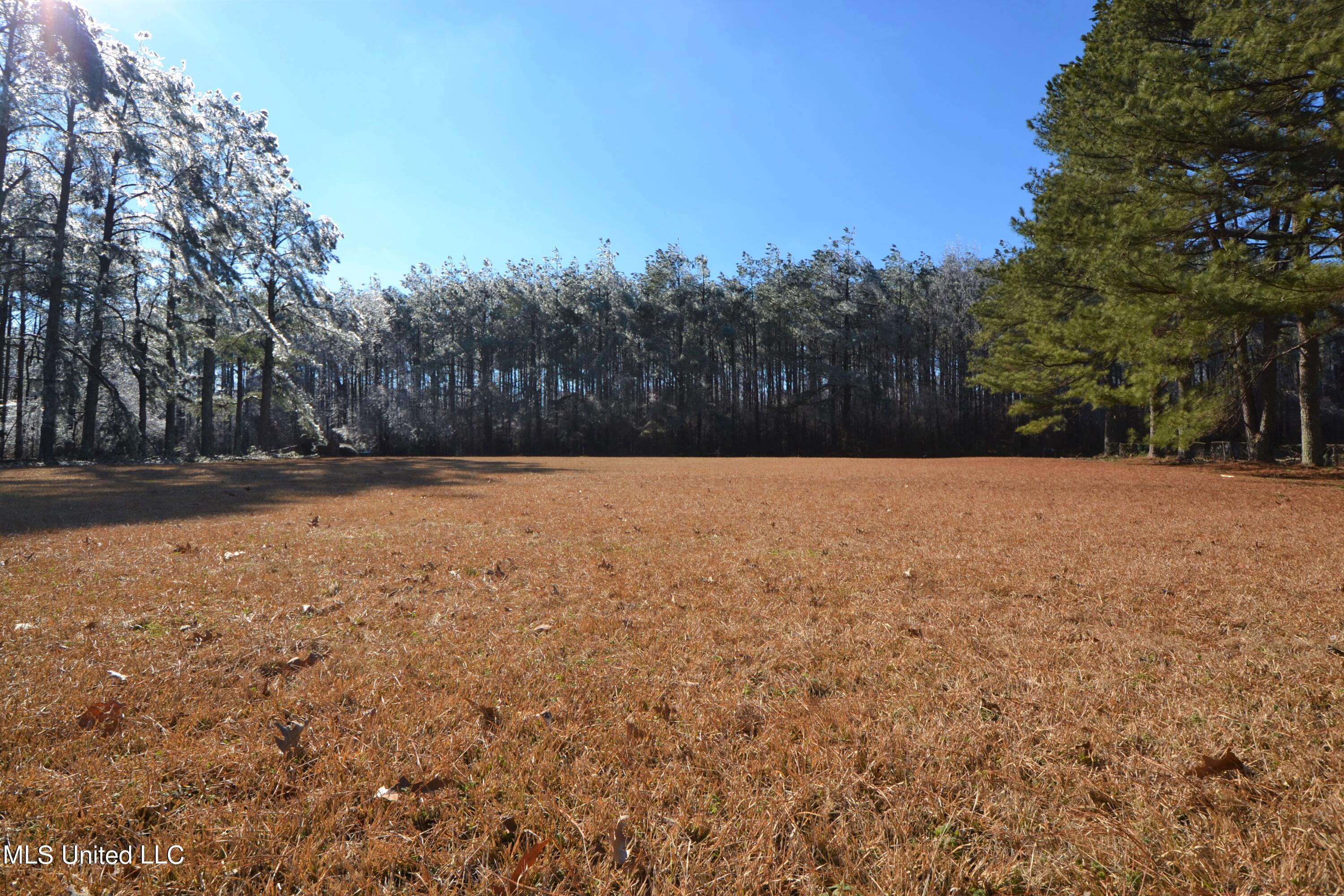 1150 Malone Road Nesbit, MS 38651 - Photo 2 of 32 DSC_2510