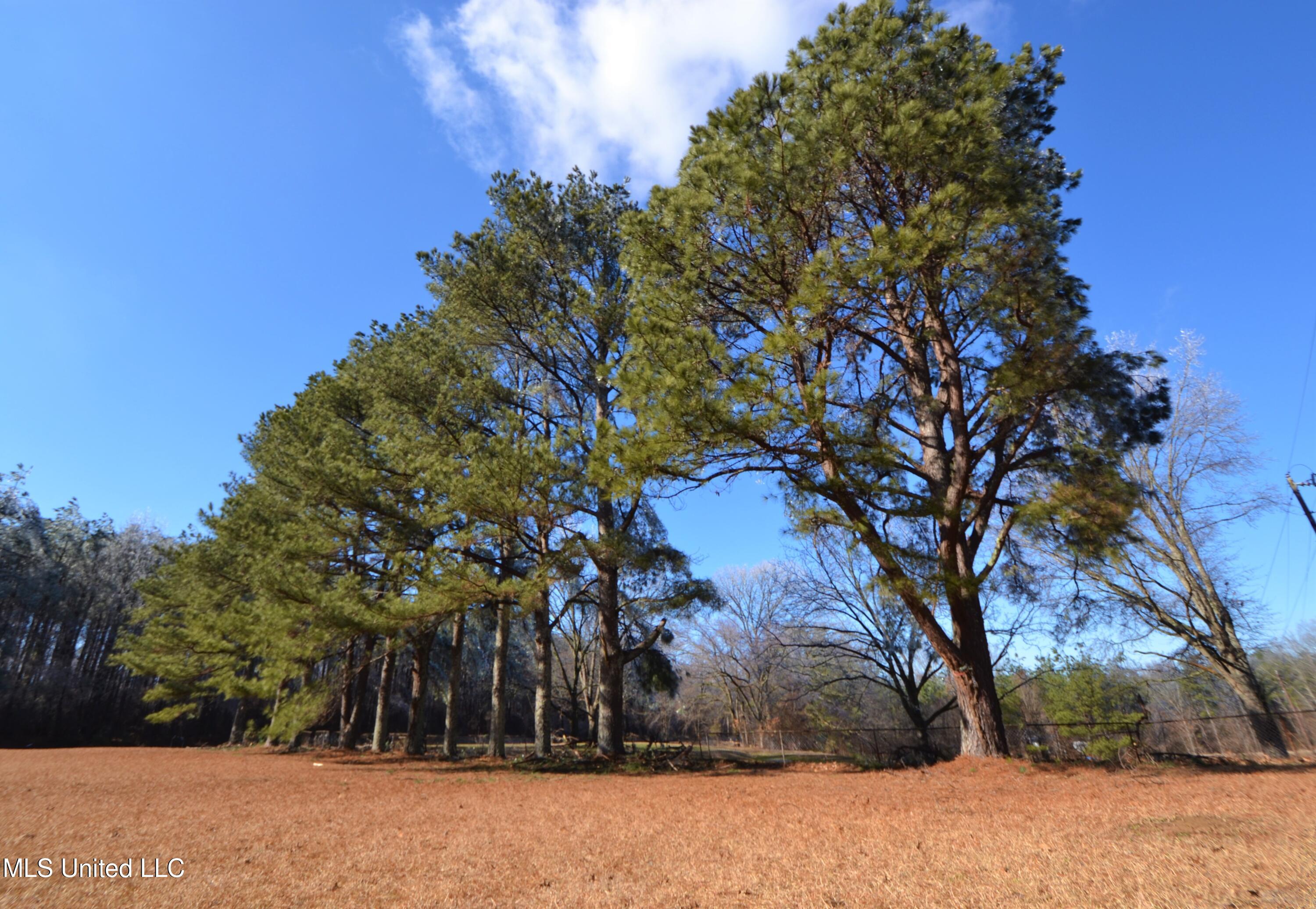 1150 Malone Road Nesbit, MS 38651 - Photo 3 of 32 DSC_2514