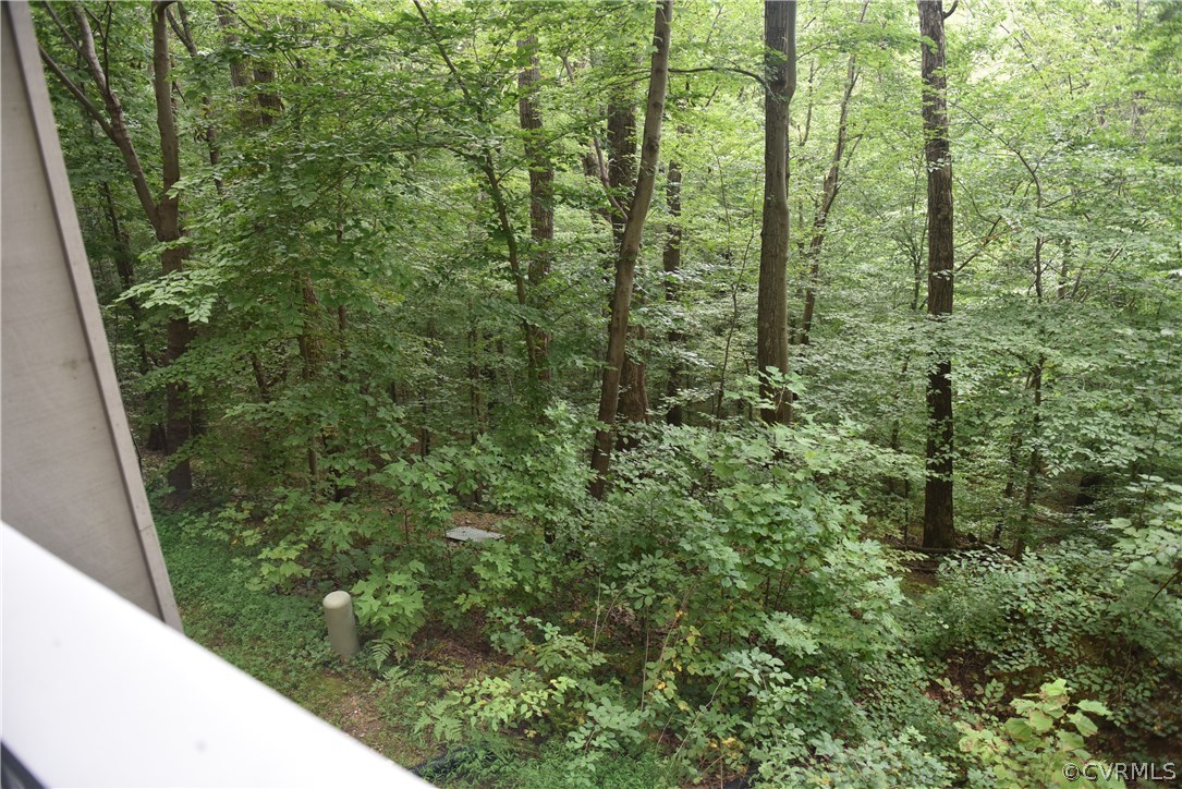 10320 Iron Mill Road, Unit 10320 Richmond, VA 23235 - Photo 10 of 14 a view of a forest from a balcony