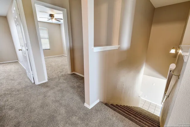 $1,600 | 415 Mallow Grove, San Antonio, TX 78253