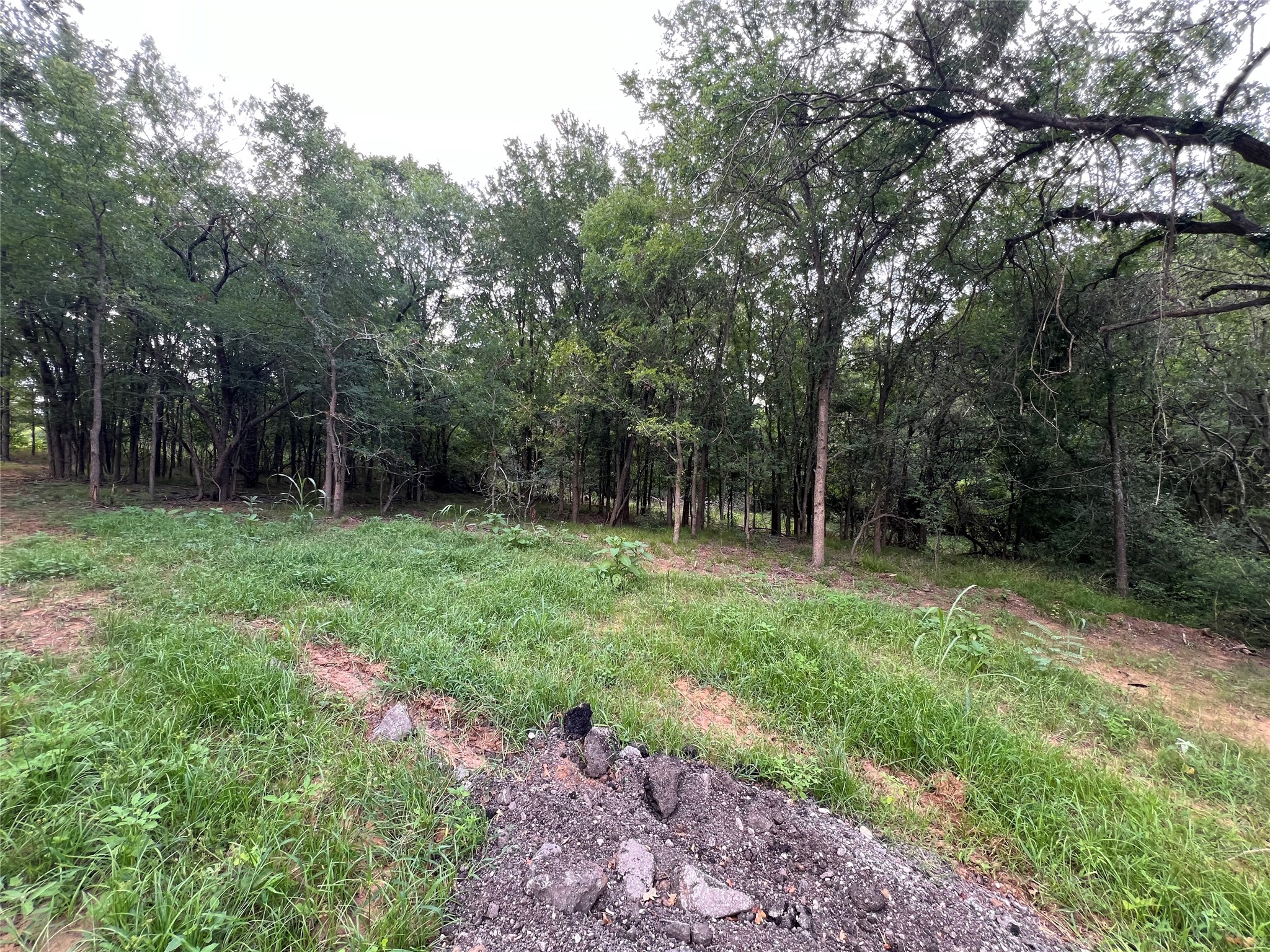 3000 Tract 1 Elgin, TX 78621 - Photo 10 of 18