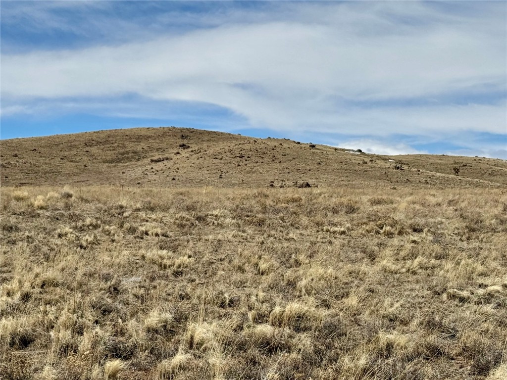 Tbd Antero Drive Hartsel, CO 80449 - Photo 18 of 48