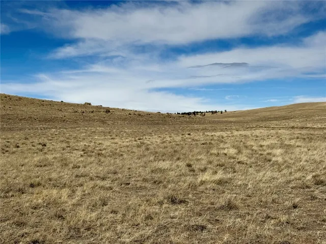 $99,000 | Tbd Antero Drive, Hartsel, CO 80449