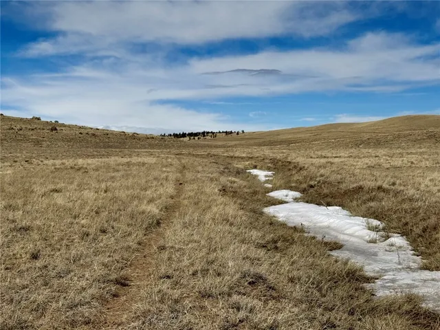 $99,000 | Tbd Antero Drive, Hartsel, CO 80449