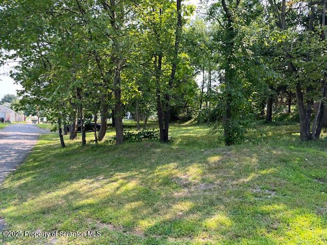 a view of park space