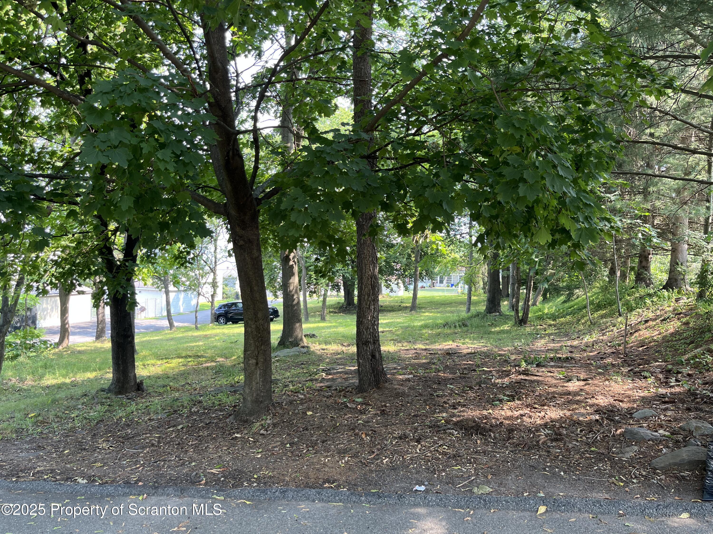 702 Connell Street Scranton, PA 18505 - Photo 2 of 9 a view of some trees in the forest