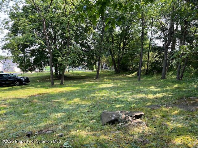 702 Connell Street Scranton, PA 18505 - Photo 3 of 9 a backyard of a house with lots of green space