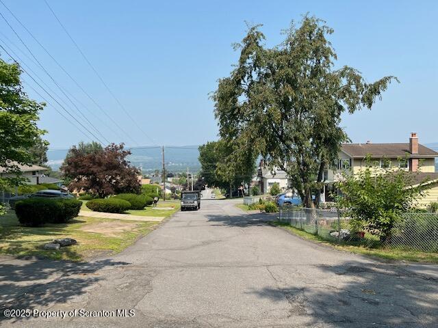 702 Connell Street Scranton, PA 18505 - Photo 4 of 9 a view of a park with potted plants and large trees
