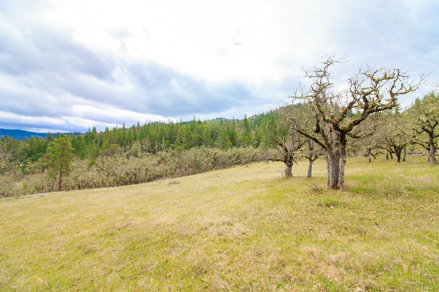 0 Wren Ridge Eagle Point, OR 97524 - Photo 6 of 12 Additional Photo