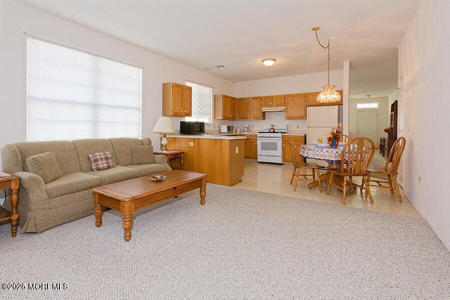 Open kitchen living room