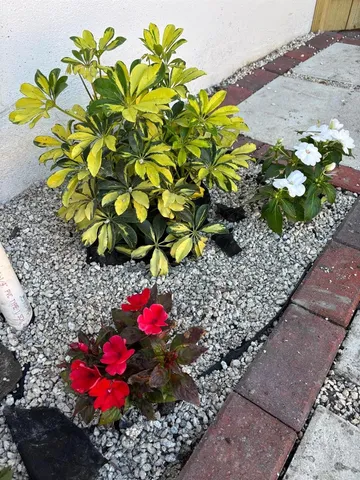 $1,500 | Kendall, Miami, FL 33176