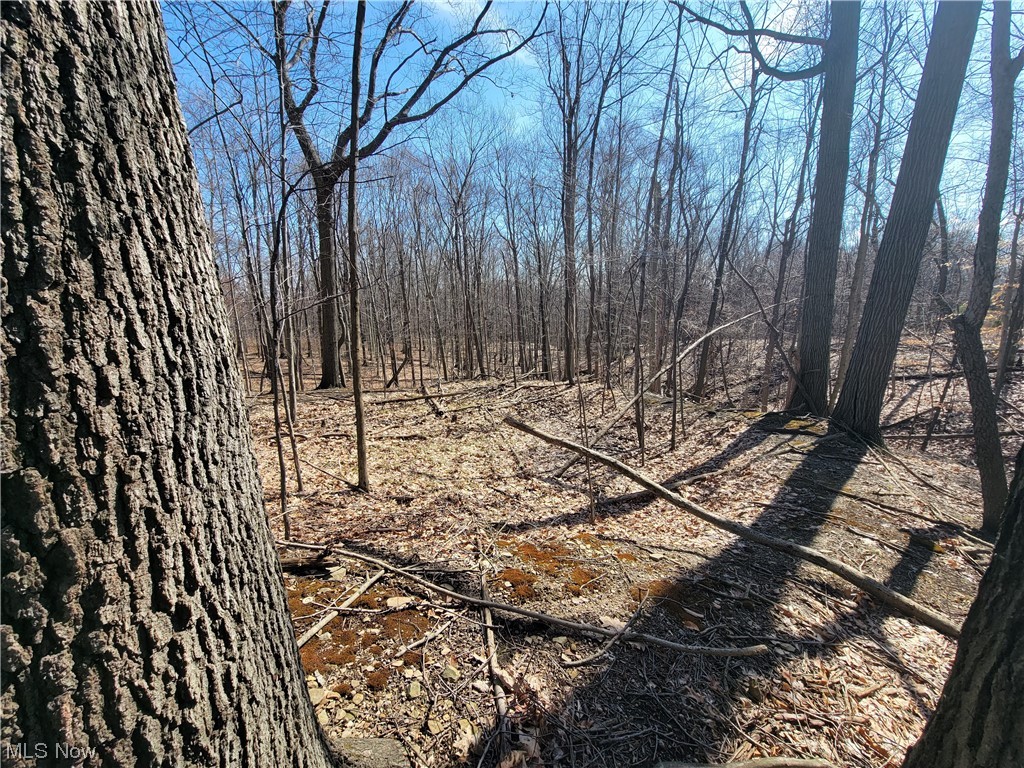 East Mill Road Broadview Heights, OH 44147 - Photo 16 of 17 Gallery Image 16