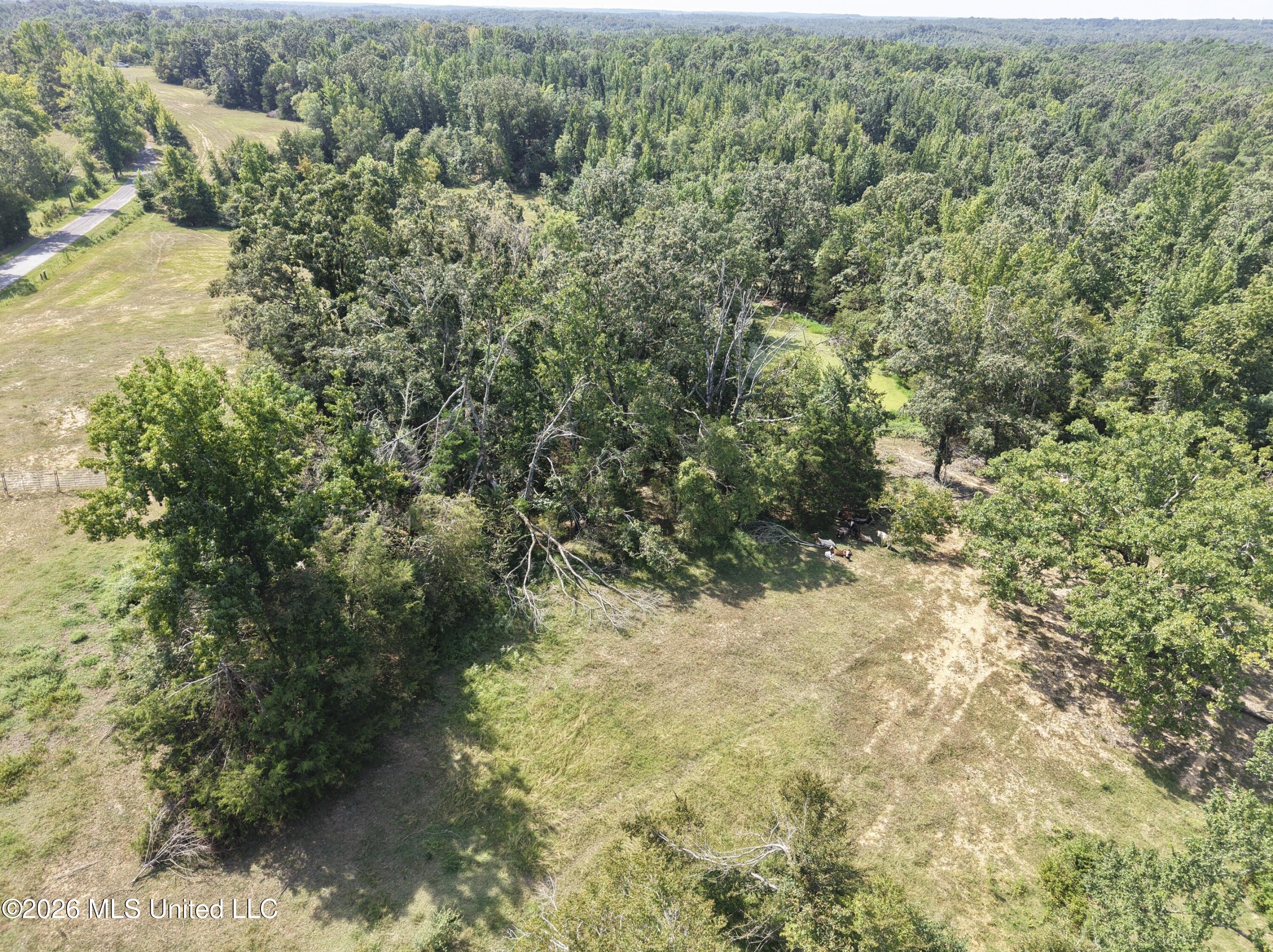 Still Road Sardis, MS 38666 - Photo 23 of 31 23