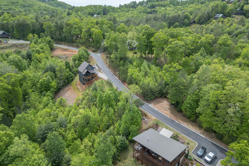 455 Point Overlook Trail Murphy, NC 28906 - Photo 49 of 56