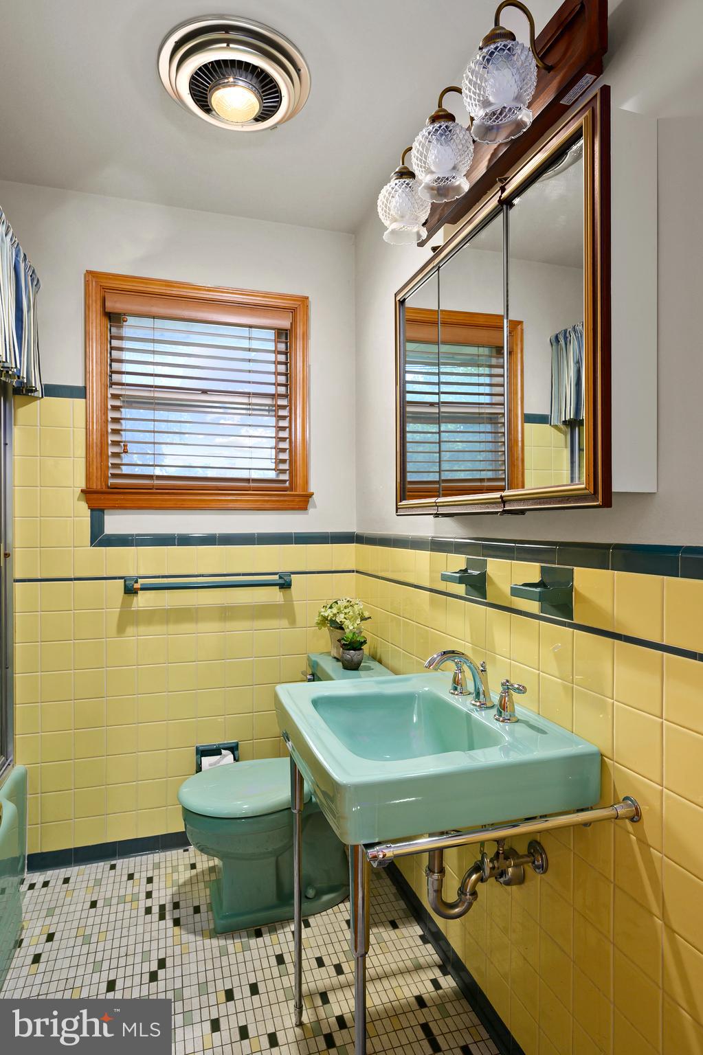 2530 McKenzie Road Ellicott City, MD 21042 - Photo 23 of 40 Bathroom 2 (alt view)